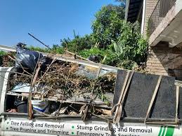 Best Foreclosure Cleanout  in Flora, AL